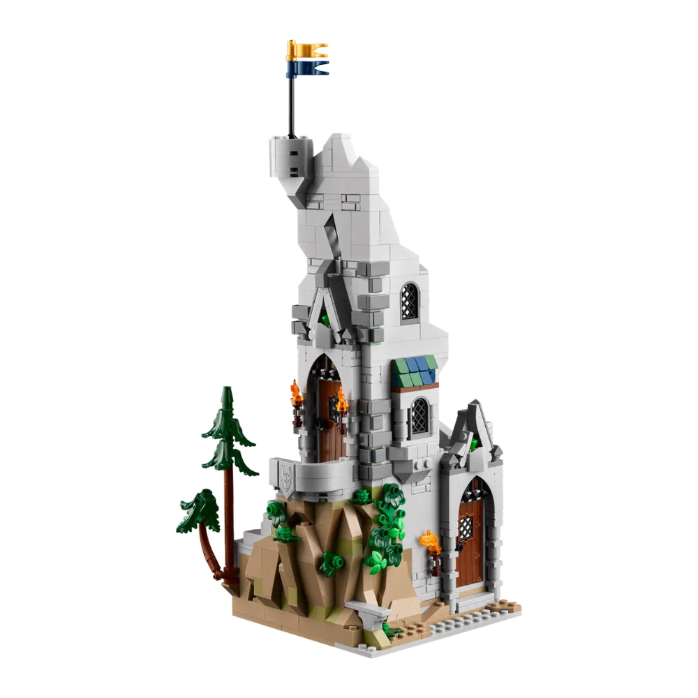LEGO Ideas Dungeons & Dragons 21348